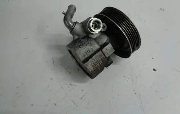 Electric power steering pump