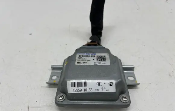 KIA EV6 Other control units/modules 4295118155