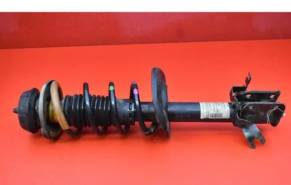 Dacia Dokker Front shock absorber/damper 543028938R