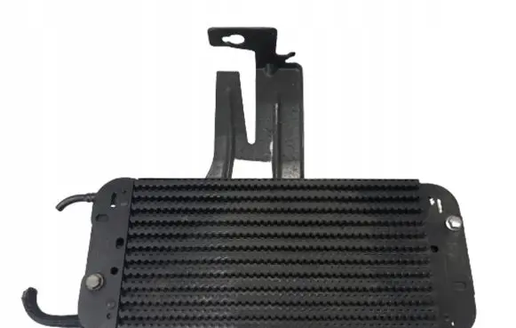 Renault Master III Fuel cooler (radiator) 243561500R