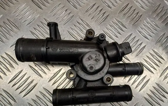 Thermostat/thermostat housing