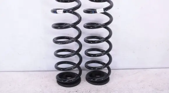 Rear coil spring