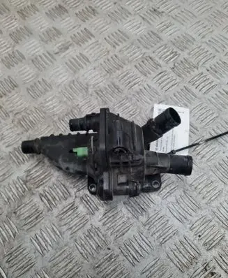 Peugeot 207 Thermostat/thermostat housing 071052
