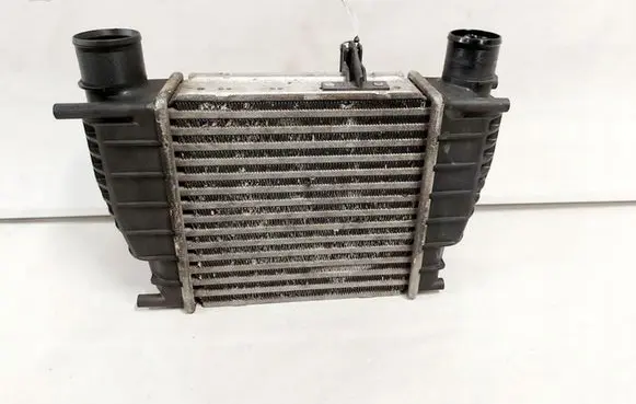 Nissan Juke I F15 Intercooler radiator 14461EM00A