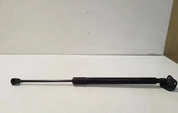 Opel Zafira C Tailgate/trunk strut/damper 13387067 315005777