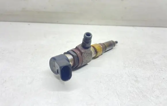 Volvo V60 Fuel injector 50274V05 9802448680
