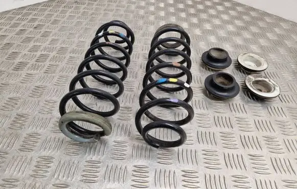 Rear coil spring