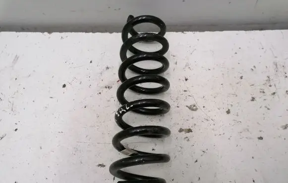 BMW 3 G20 G21 Rear coil spring 1234567