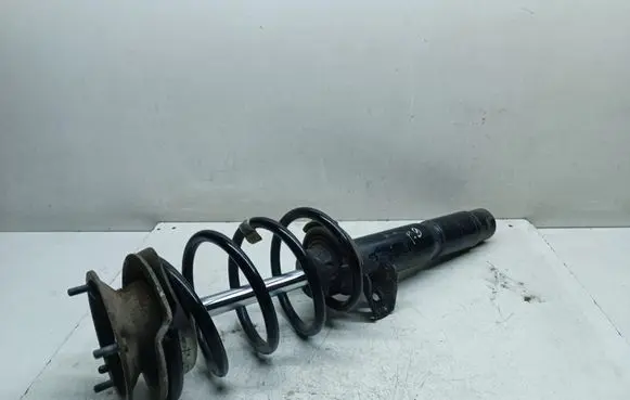 Front shock absorber with coil spring