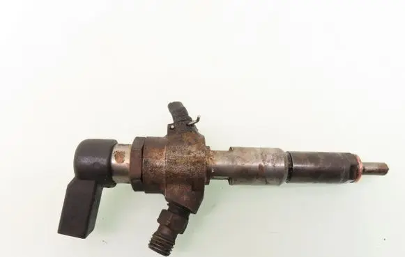 Citroen C3 Fuel injector 9652707180