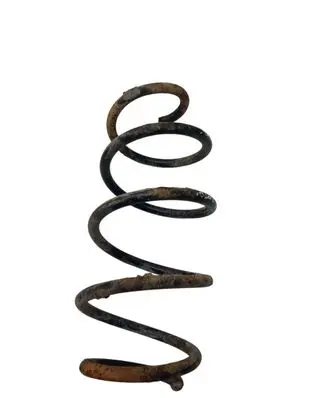 Volkswagen Tiguan Front coil spring 