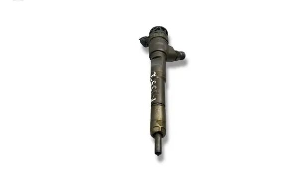 Renault Kangoo II Fuel injector 0445110485 H8201108033