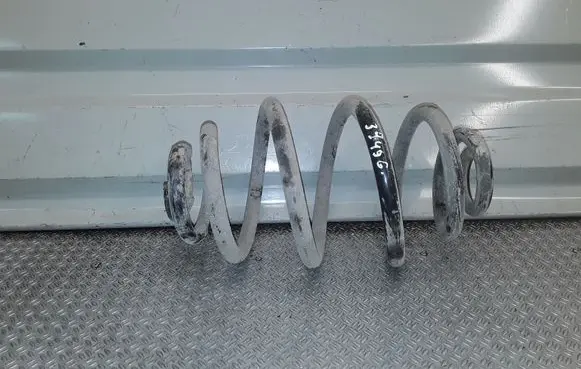 Volkswagen PASSAT B5.5 Rear coil spring