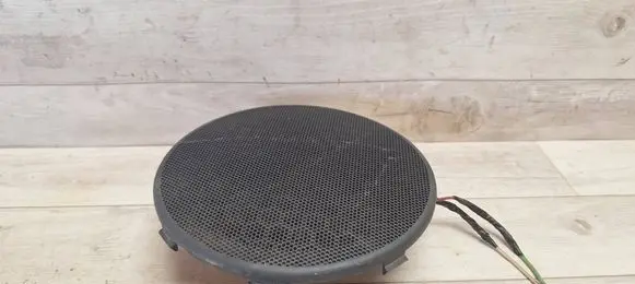Citroen C5 Front door speaker