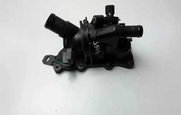 Thermostat/thermostat housing