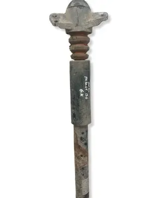 Volkswagen PASSAT B6 Rear shock absorber/damper 