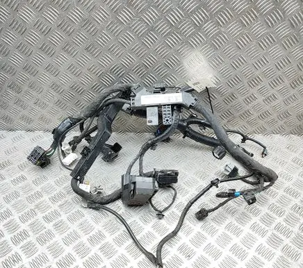 KIA Niro Engine installation wiring loom 91660Q4030 91660Q4050