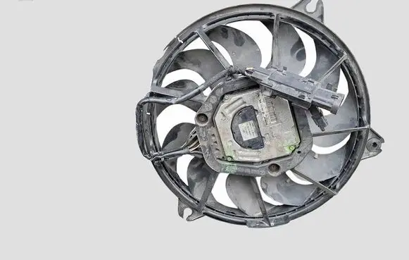 Citroen C4 Grand Picasso Electric radiator cooling fan 3136613322