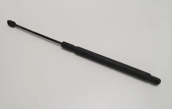 Tailgate strut
