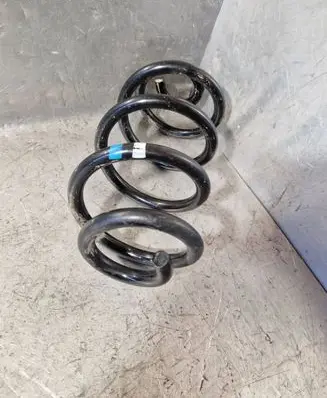 Rear coil spring