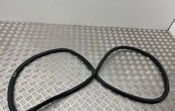 Chrysler Pacifica Rubber seal front coupe door 