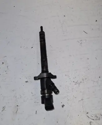 Citroen C5 Fuel injector 0445110188