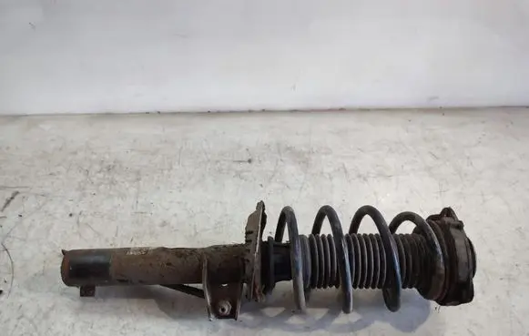 Volkswagen Tiguan Front shock absorber with coil spring