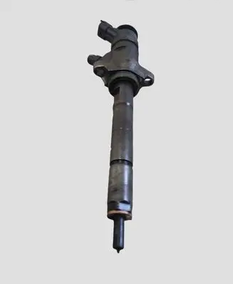 Citroen Berlingo Fuel injector 0445110311 620033