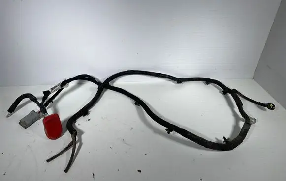 Peugeot Partner III Positive cable (battery) 9819950480
