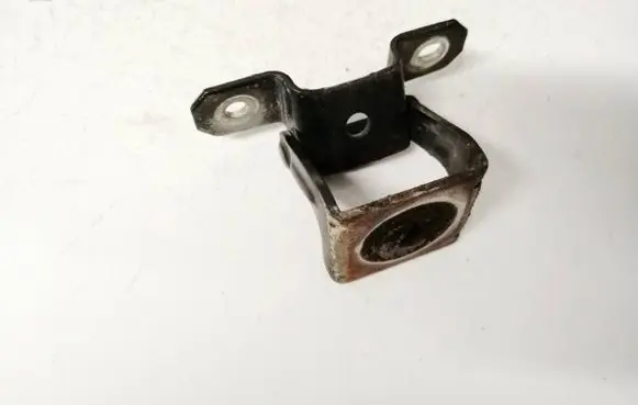 Fiat Punto (188) Rear door lower hinge