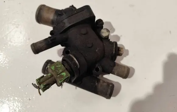 Thermostat/thermostat housing