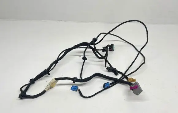 Volkswagen PASSAT B6 Front door wiring loom 3C1971557AD