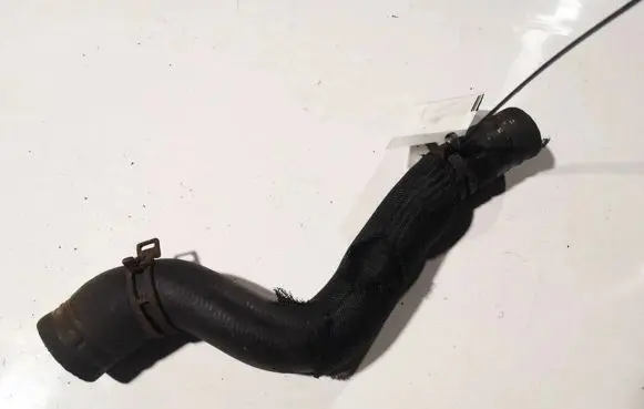 Citroen Berlingo Engine coolant pipe/hose