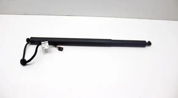 Tailgate/trunk strut/damper