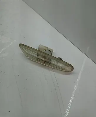 Front fender indicator light