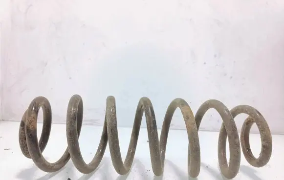Volkswagen PASSAT B6 Rear coil spring
