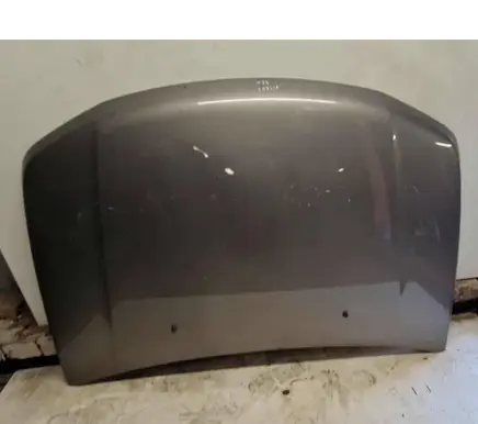Suzuki Grand Vitara II Engine bonnet/hood