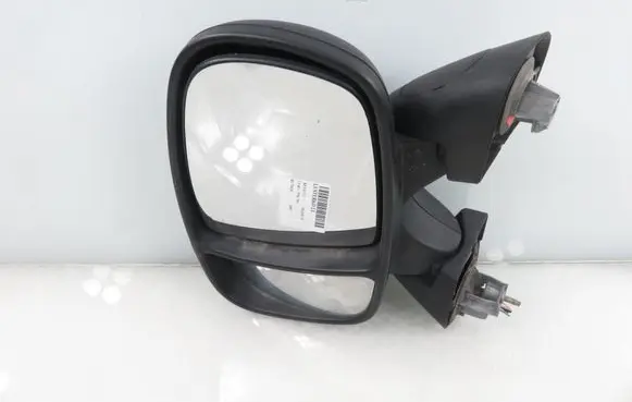 Renault Trafic II (X83) Front door electric wing mirror 