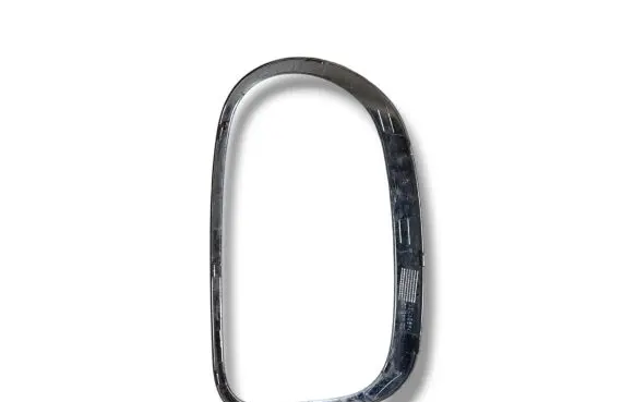 Rear/tail light trim molding