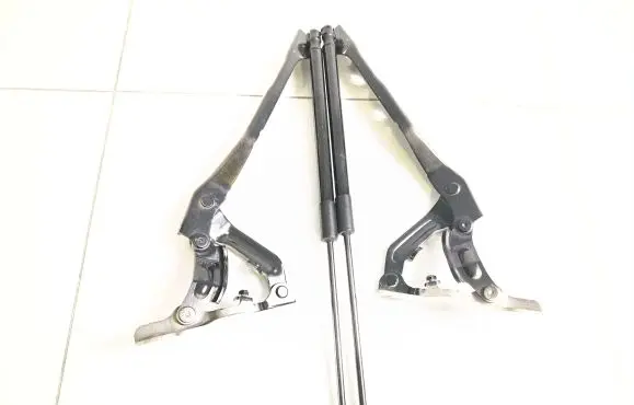 Engine bonnet/hood hinges