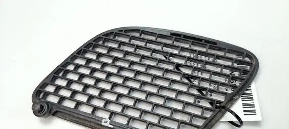 Dodge Challenger Bonnet/hood grill 