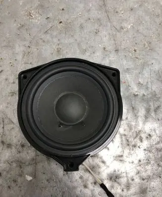 Panel speaker