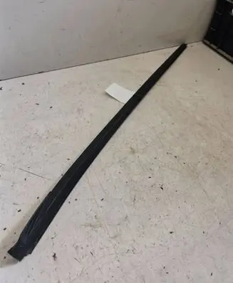 Hyundai Sonata Windshield trim 1234