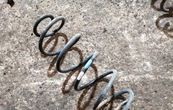 Rear coil spring