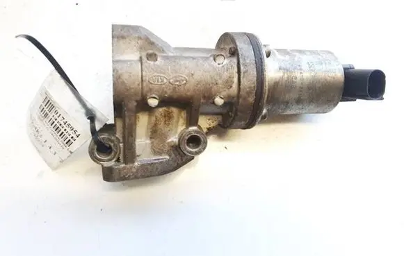KIA Carnival EGR valve 284102a120