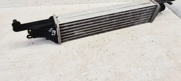 Fiat Punto (199) Intercooler radiator 8A0050000 866450200