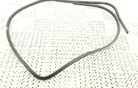 Nissan Qashqai Rubber seal front door (on door) 