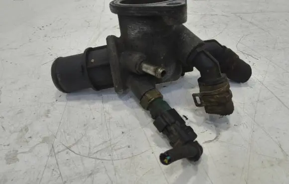 Thermostat/thermostat housing