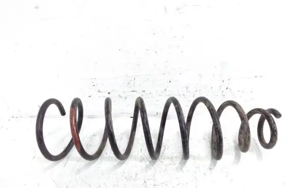 Rear coil spring