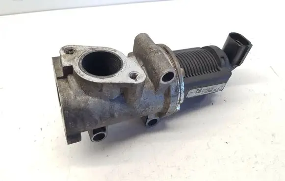 Opel Zafira B EGR valve 722946380 nr8943